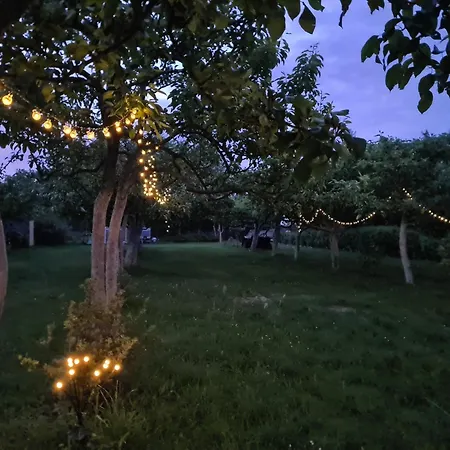 Holiday home Brzozka